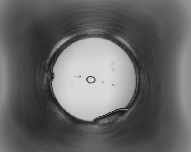 X0000086341066200704202057
