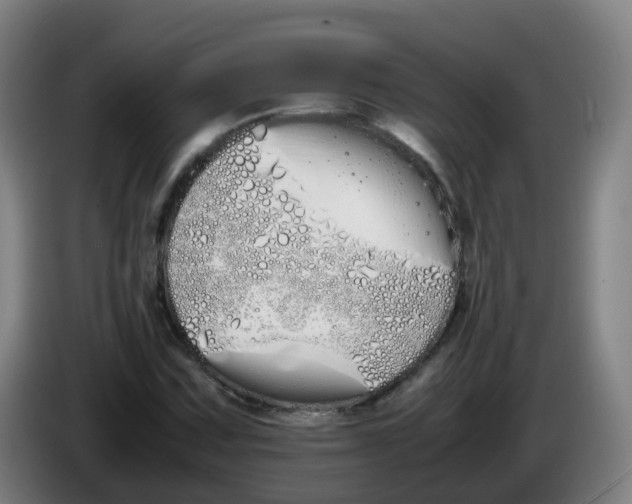 X0000086341067200704202056
