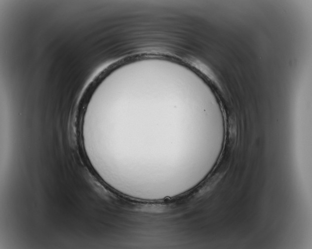 X0000086341068200704202056