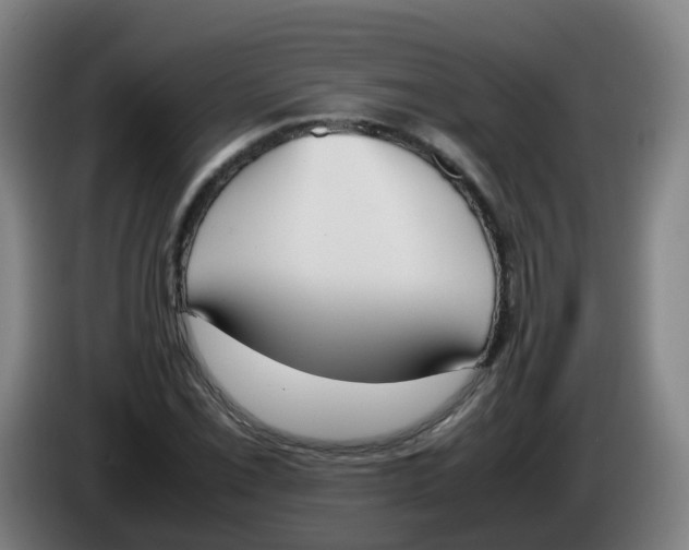 X0000086341069200704202056