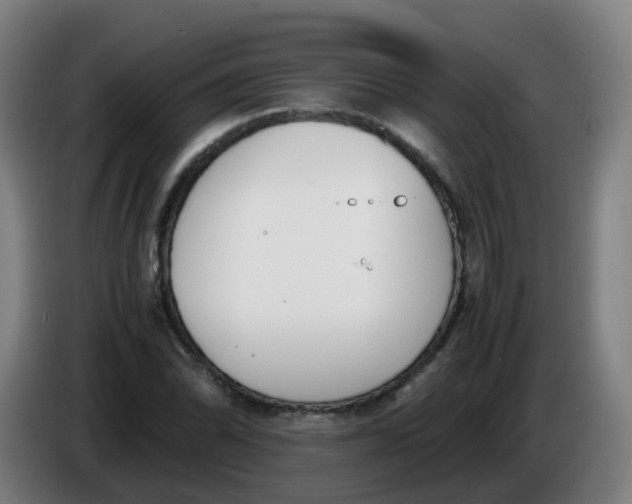 X0000086341070200704202056