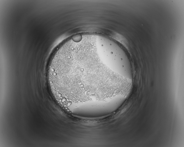 X0000086341071200704202056