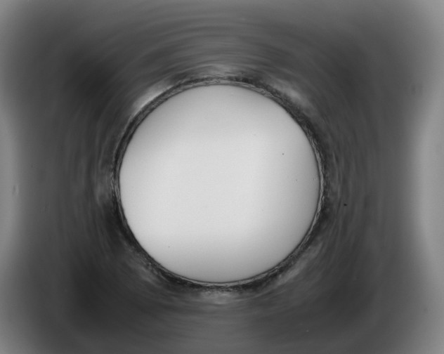 X0000086341073200704202056