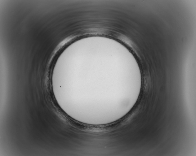 X0000086341074200704202056