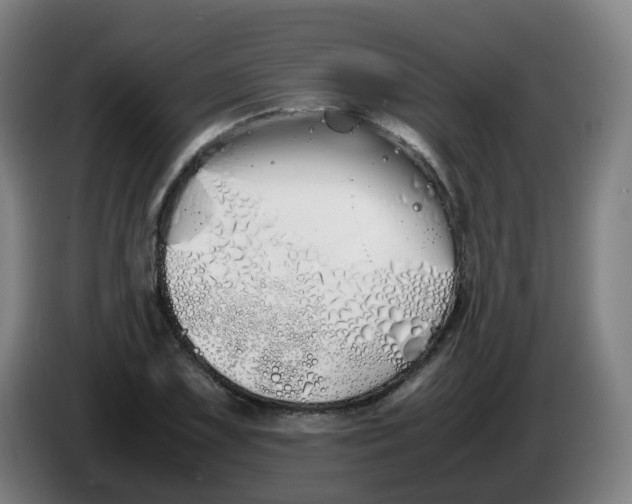 X0000086341075200704202056
