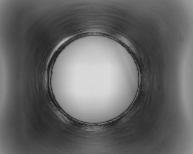 X0000086341076200704202056