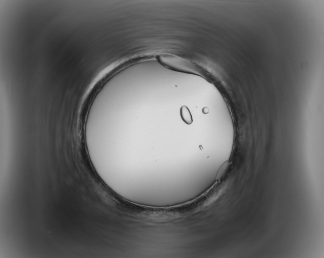 X0000086341077200704202056