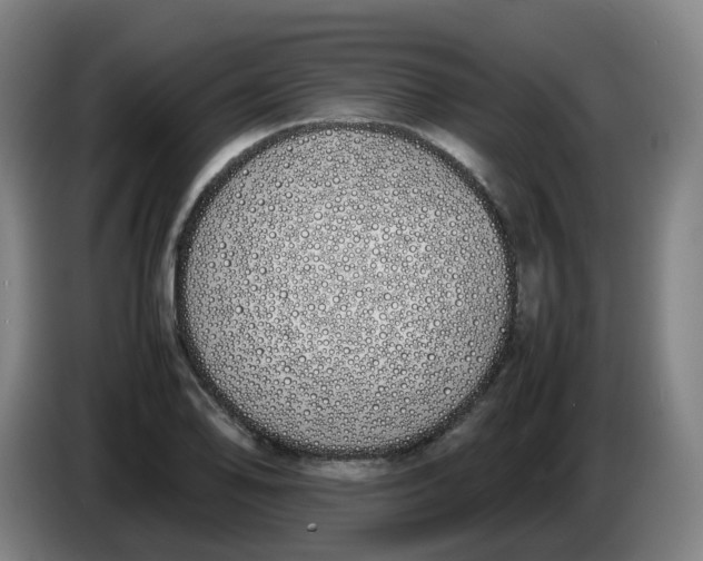 X0000086341078200704202056