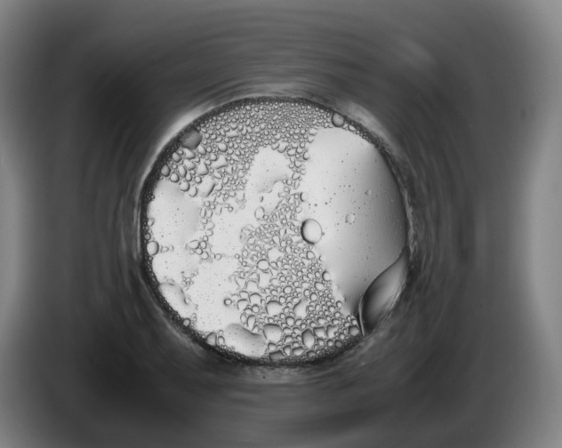 X0000086341079200704202056