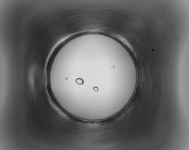 X0000086341080200704202056