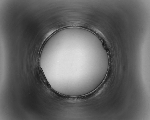 X0000086341081200704202056