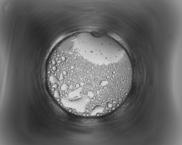 X0000086341083200704202056