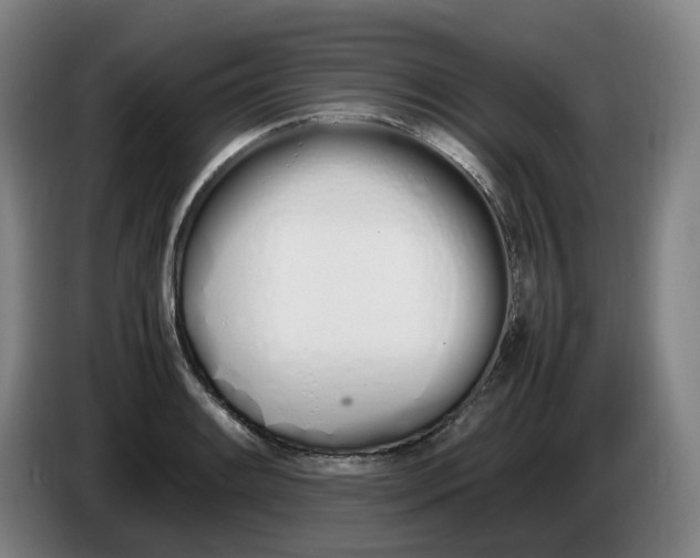 X0000086341084200704202056