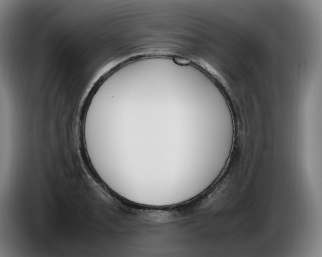 X0000086341085200704202056
