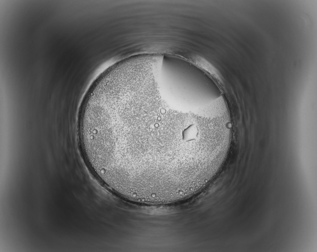 X0000086341087200704202056