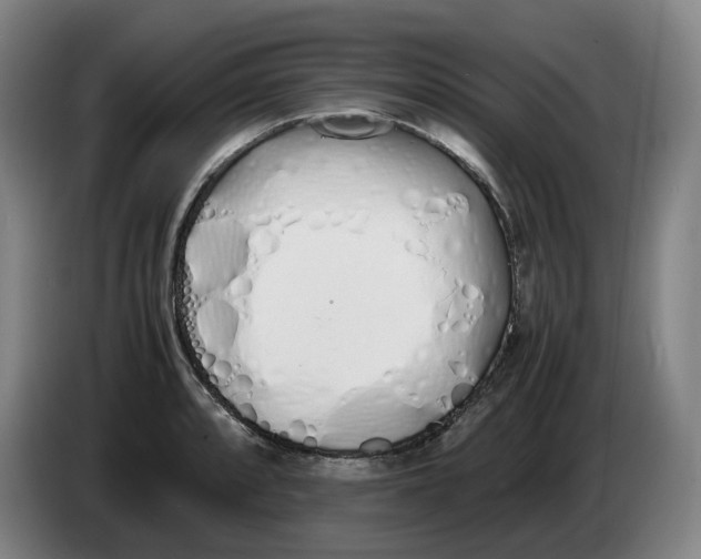 X0000086341088200704202056