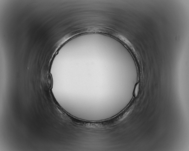 X0000086341089200704202056