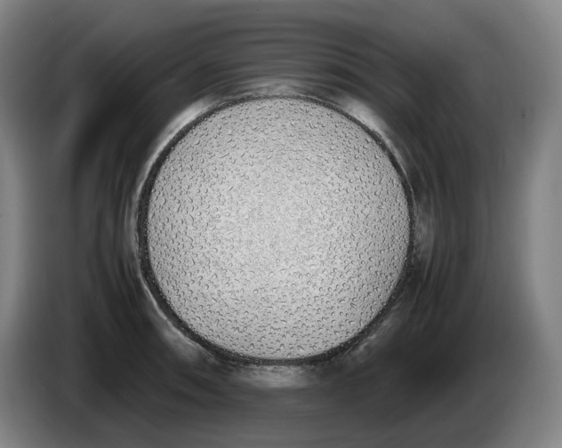 X0000086341090200704202056