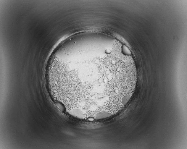 X0000086341091200704202056