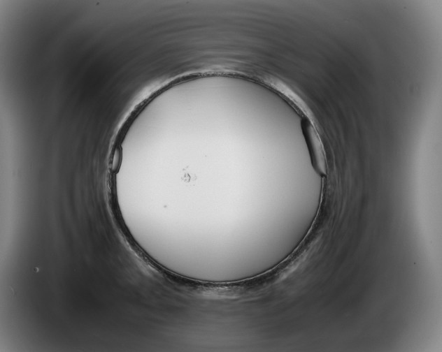 X0000086341093200704202056