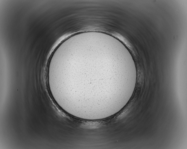 X0000086341094200704202056