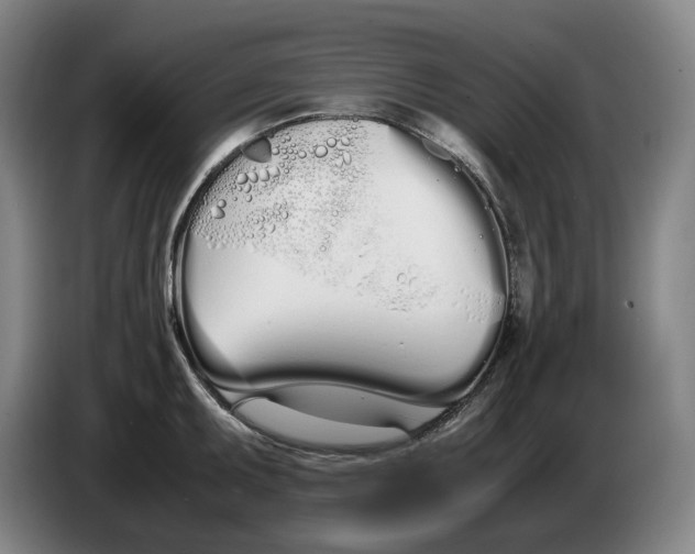 X0000086341095200704202056