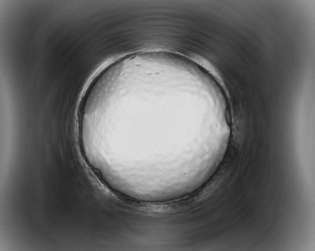 X0000086341096200704202056