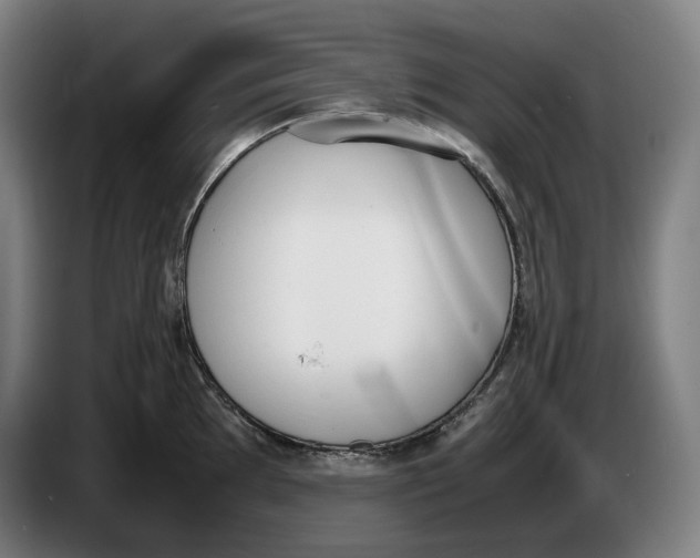 X0000086341097200704202056