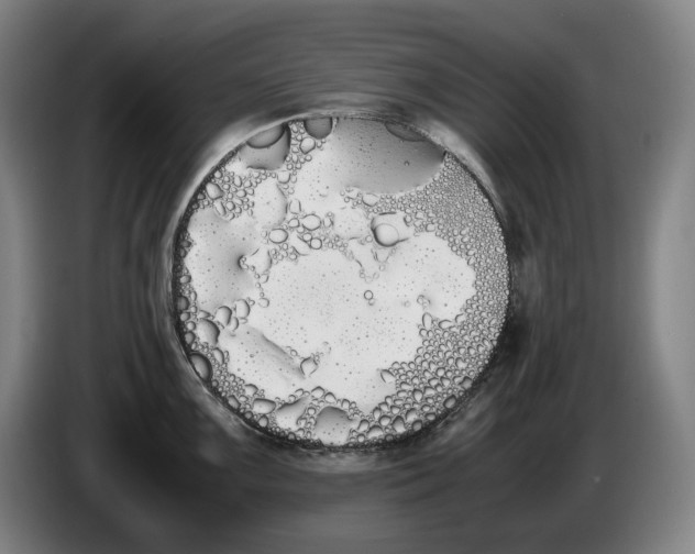 X0000086341099200704202056