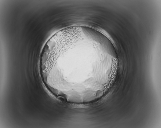 X0000086341100200704202056