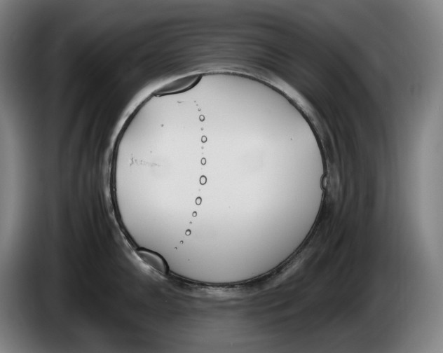 X0000086341102200704202056