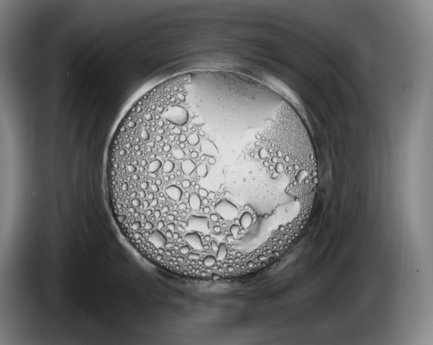 X0000086341103200704202056