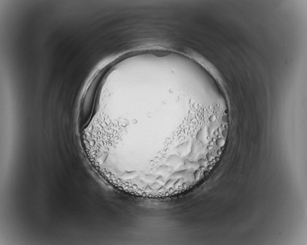 X0000086341104200704202056