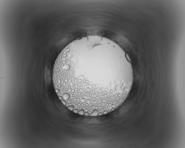 X0000086341106200704202055