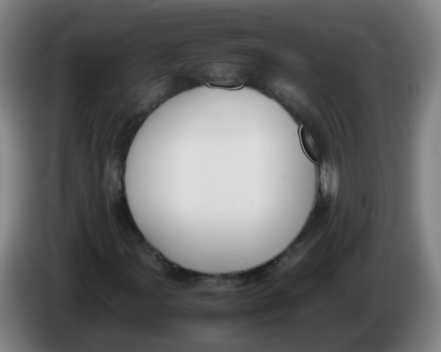 X0000086341107200704202055