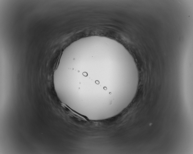 X0000086341109200704202055