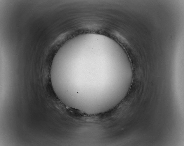 X0000086341110200704202055