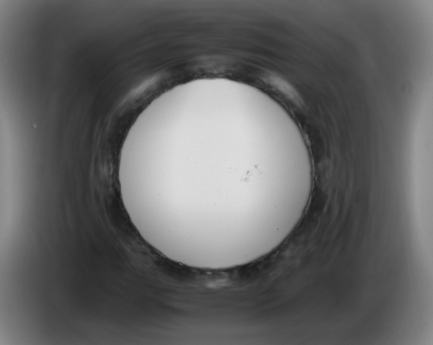 X0000086341111200704202055