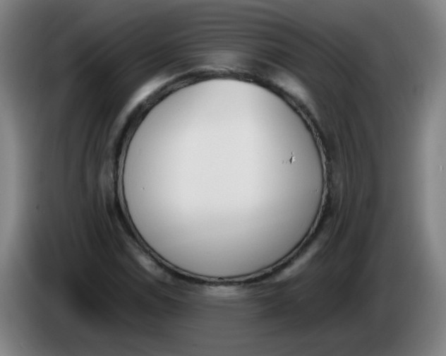 X0000086341114200704202056