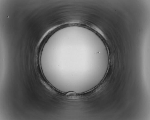 X0000086341116200704202056