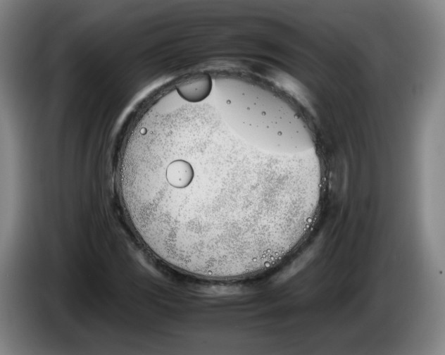 X0000086341117200704202056