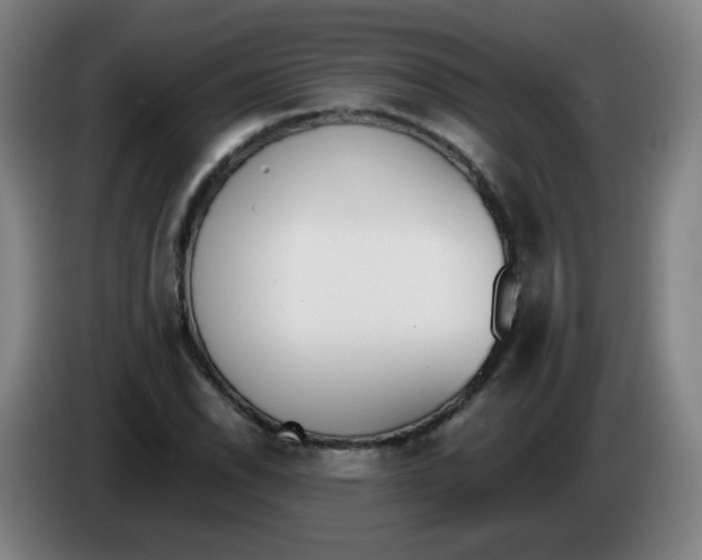 X0000086341118200704202056