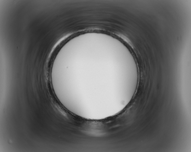 X0000086341119200704202056