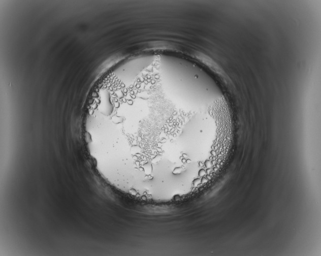 X0000086341121200704202056