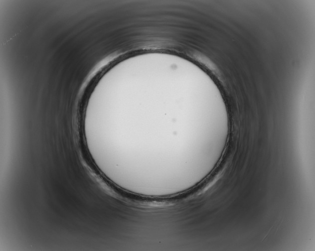 X0000086341122200704202056