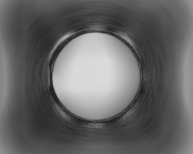 X0000086341123200704202056
