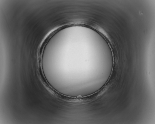 X0000086341124200704202056
