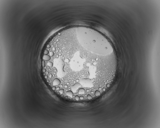 X0000086341125200704202056