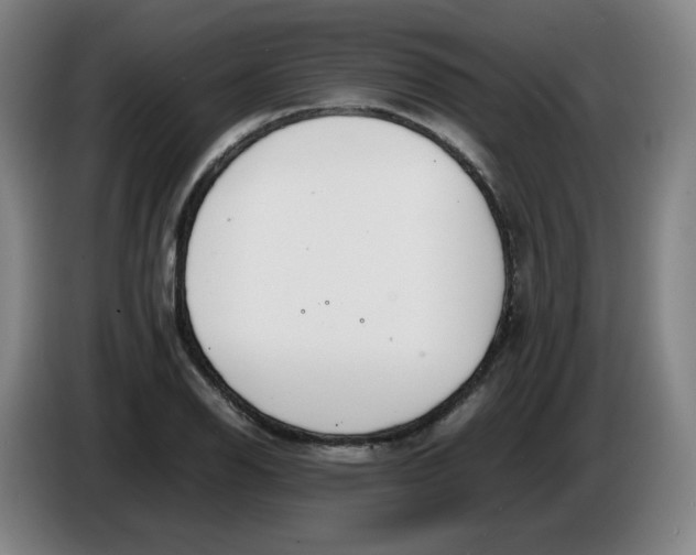 X0000086341126200704202056