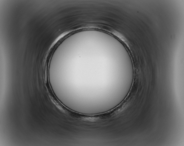 X0000086341127200704202056